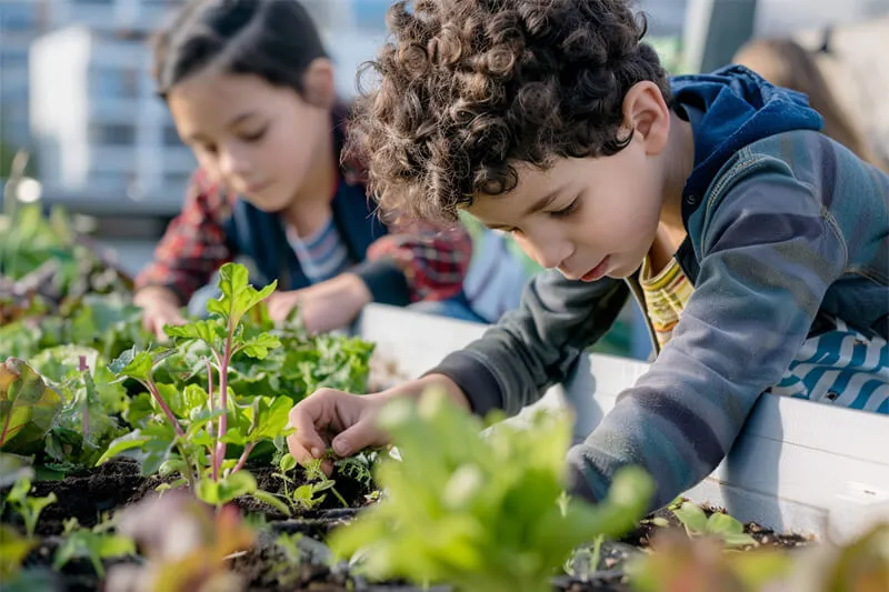 Educação Ambiental